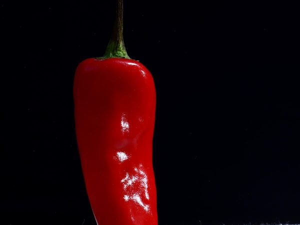 The pod that gives the colour