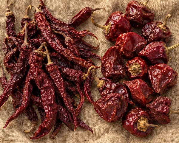 Byadgi pods: wrinkled, deep crimson